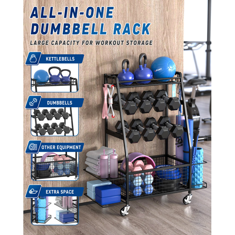 Wayfair 2025 dumbbell rack